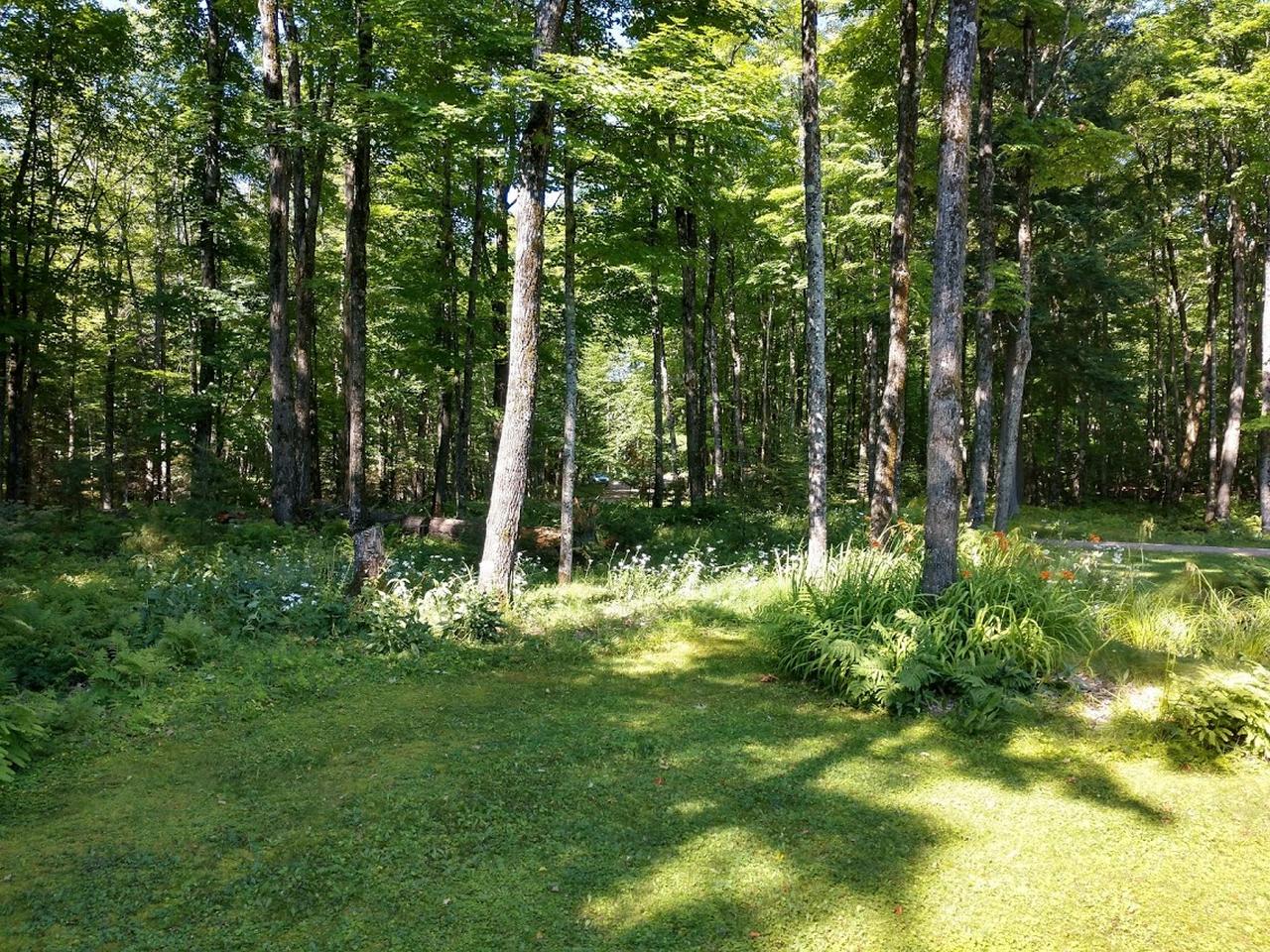 7172 Goodrich Road Land O'Lakes, WI 54540 - Photo 24 of 25 Gallery Image 24