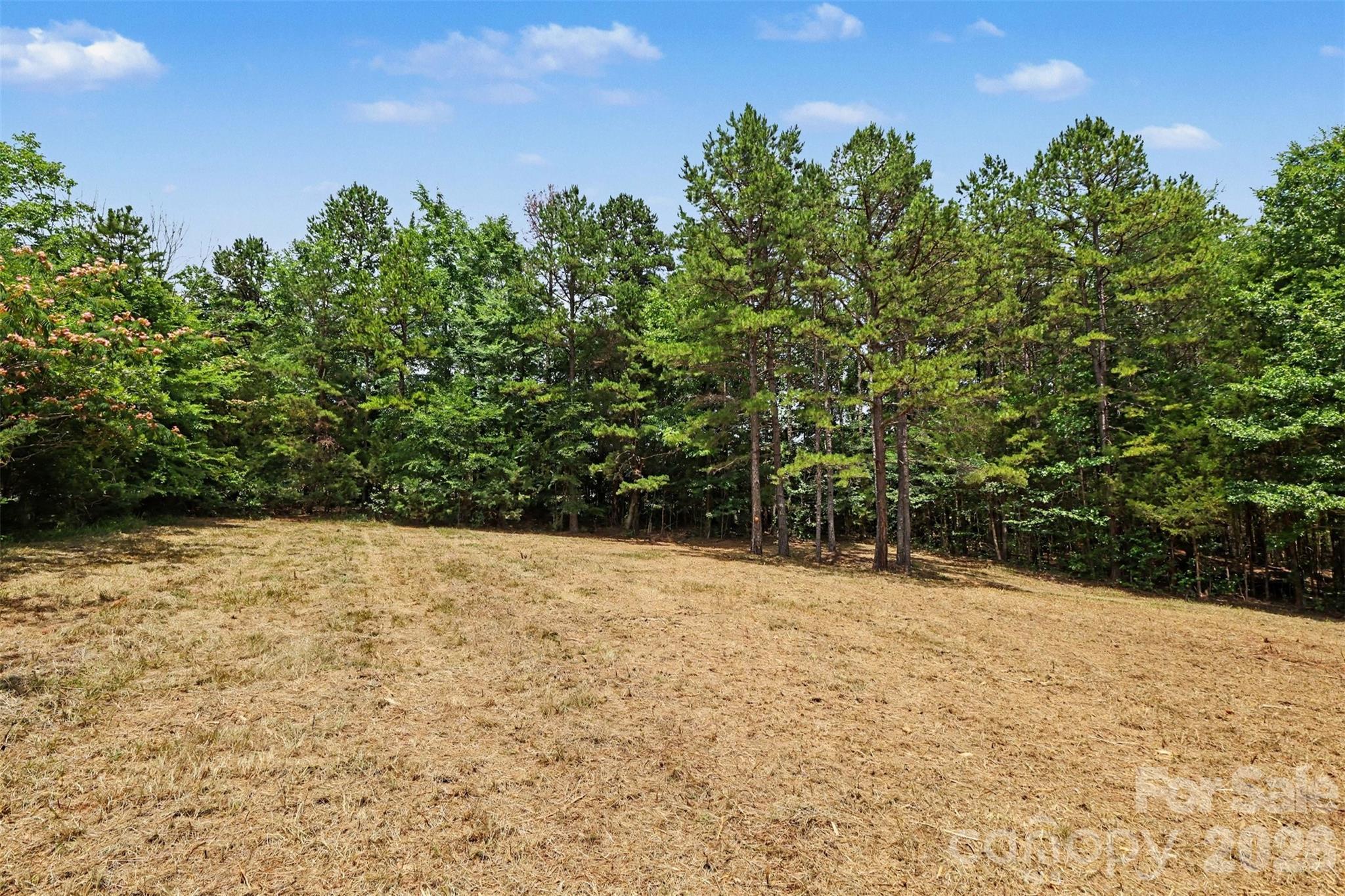 1508 Union Road Matthews, NC 28104 - Photo 3 of 17