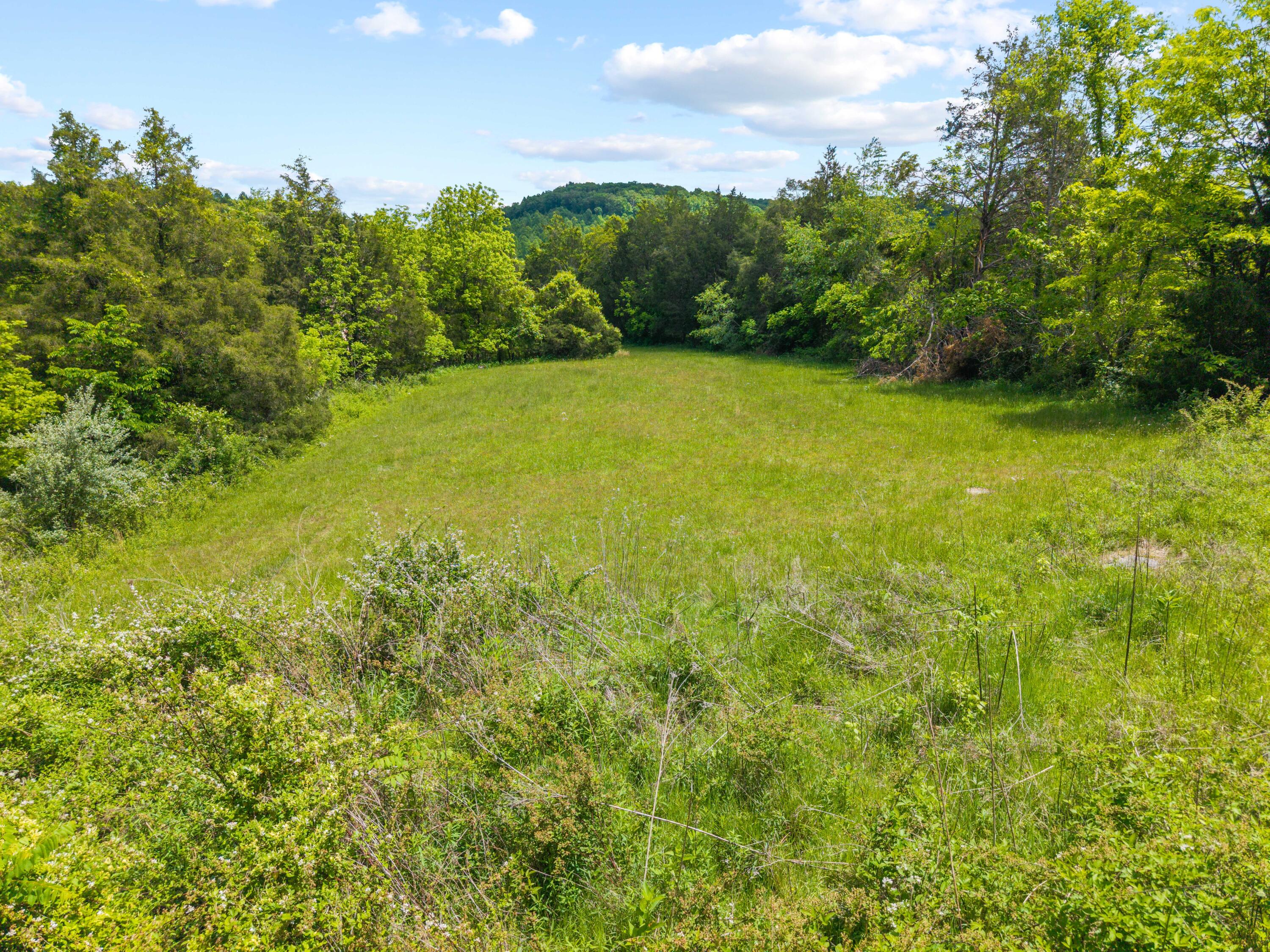 0 Sloans Valley Road Burnside, KY 42519 - Photo 13 of 38 Sloan Valley Land Photo-12
