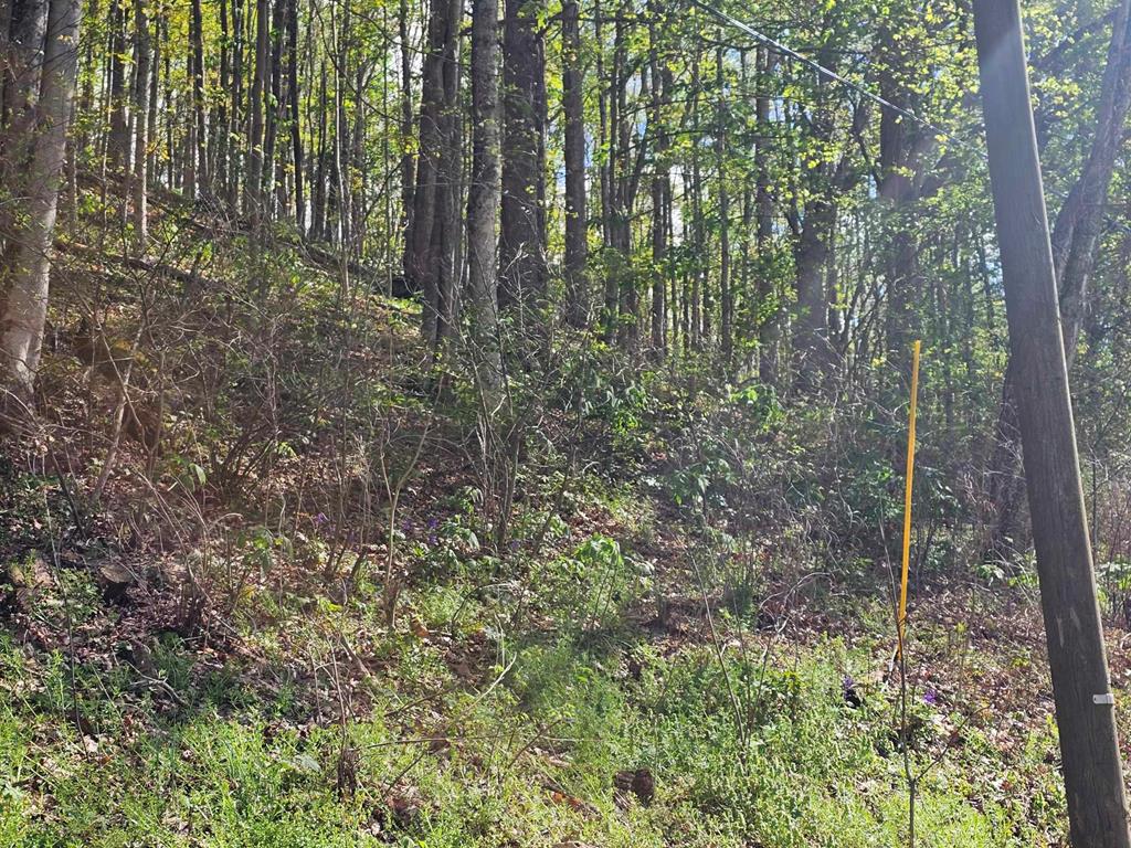 124 Porter Valley Road Marion, VA 24354 - Photo 3 of 14 Gallery Image 3