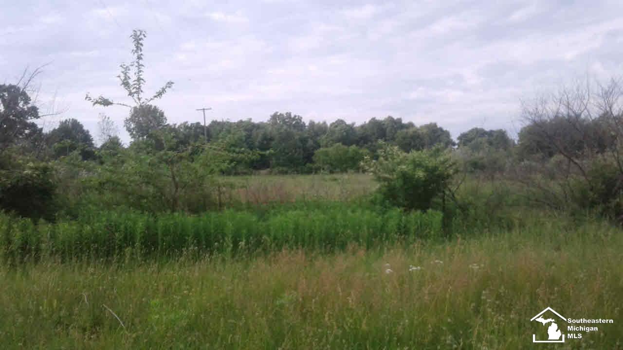 5340 Summerfield Road Petersburg, MI 49270 - Photo 8 of 9 21006455-7.JPG