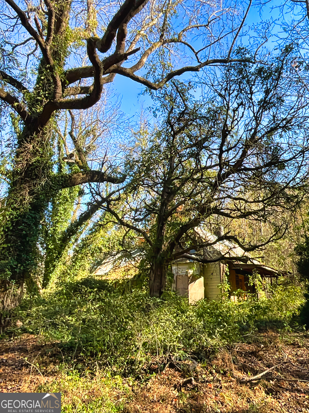 3201 Tommy Lee Cook Road Newnan, GA 30263 - Photo 11 of 11 a view of a house with a tree
