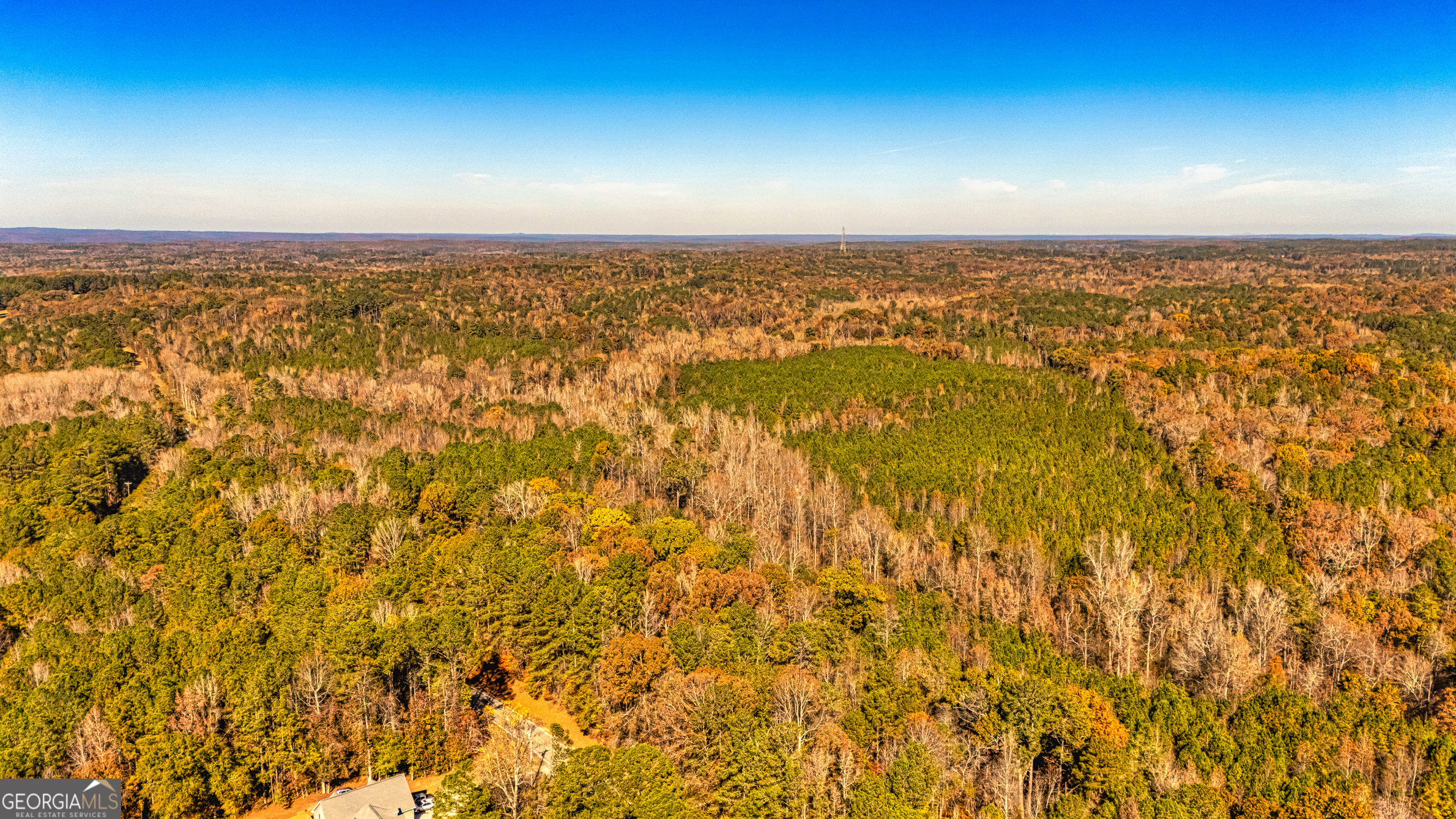 3201 Tommy Lee Cook Road Newnan, GA 30263 - Photo 6 of 11