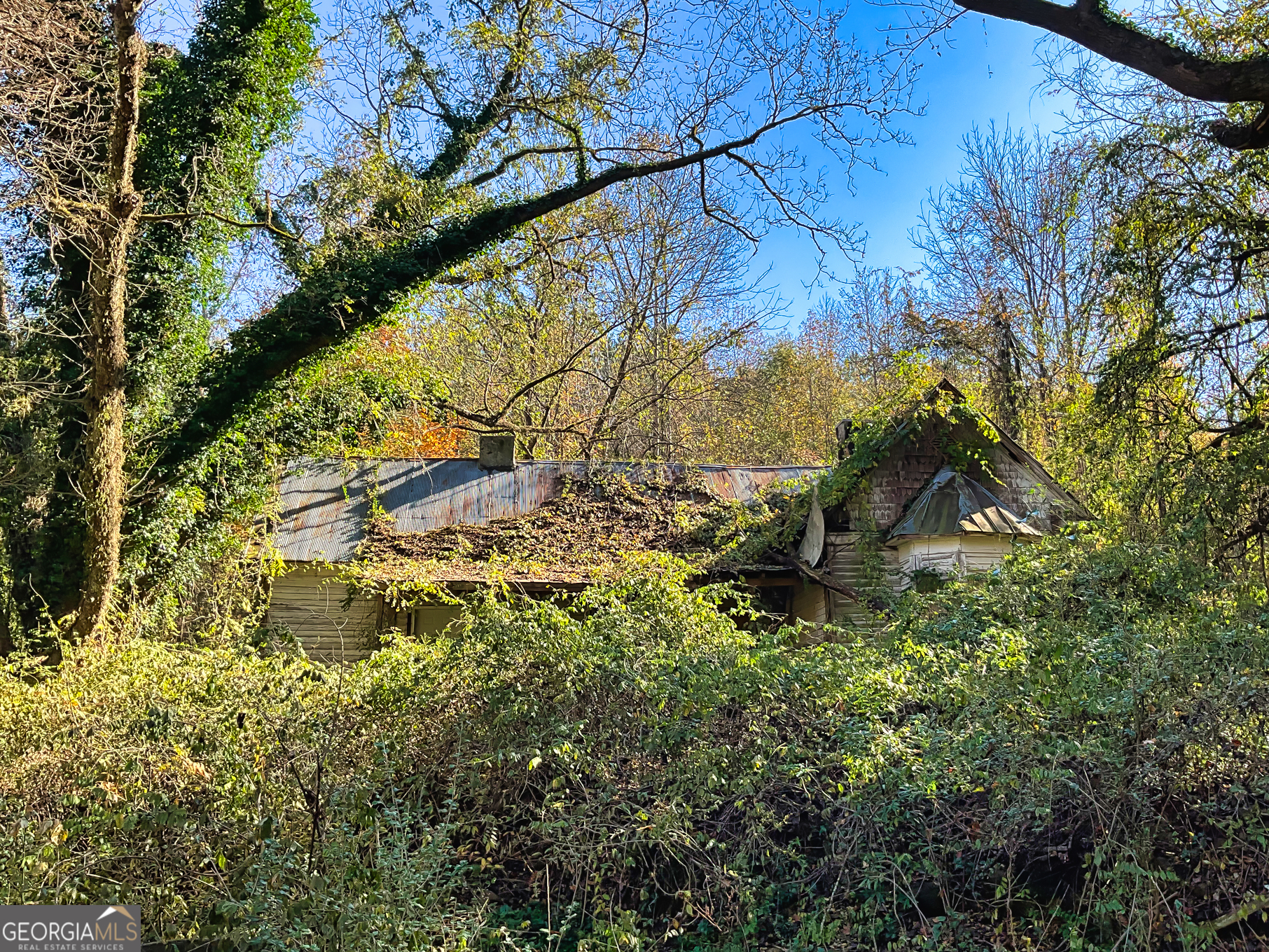 3201 Tommy Lee Cook Road Newnan, GA 30263 - Photo 10 of 11 a backyard of a house with lots of green space