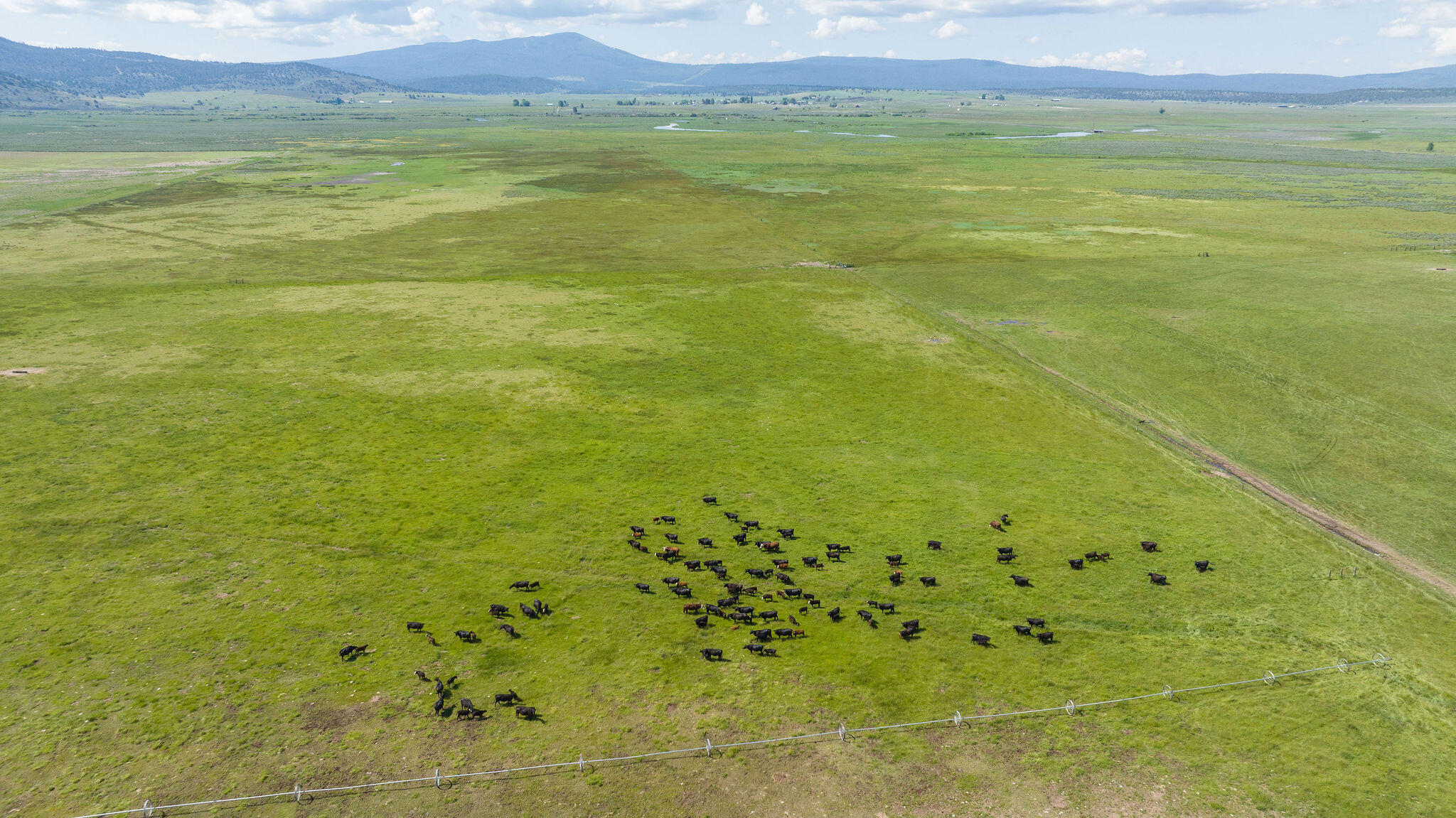 43273 Sycan Road Beatty, OR 97621 - Photo 36 of 84 DJI_0513