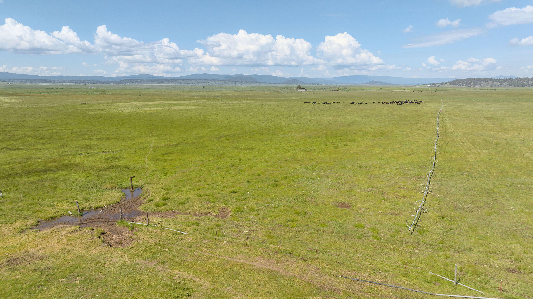 43273 Sycan Road Beatty, OR 97621 - Photo 44 of 84 DJI_0537