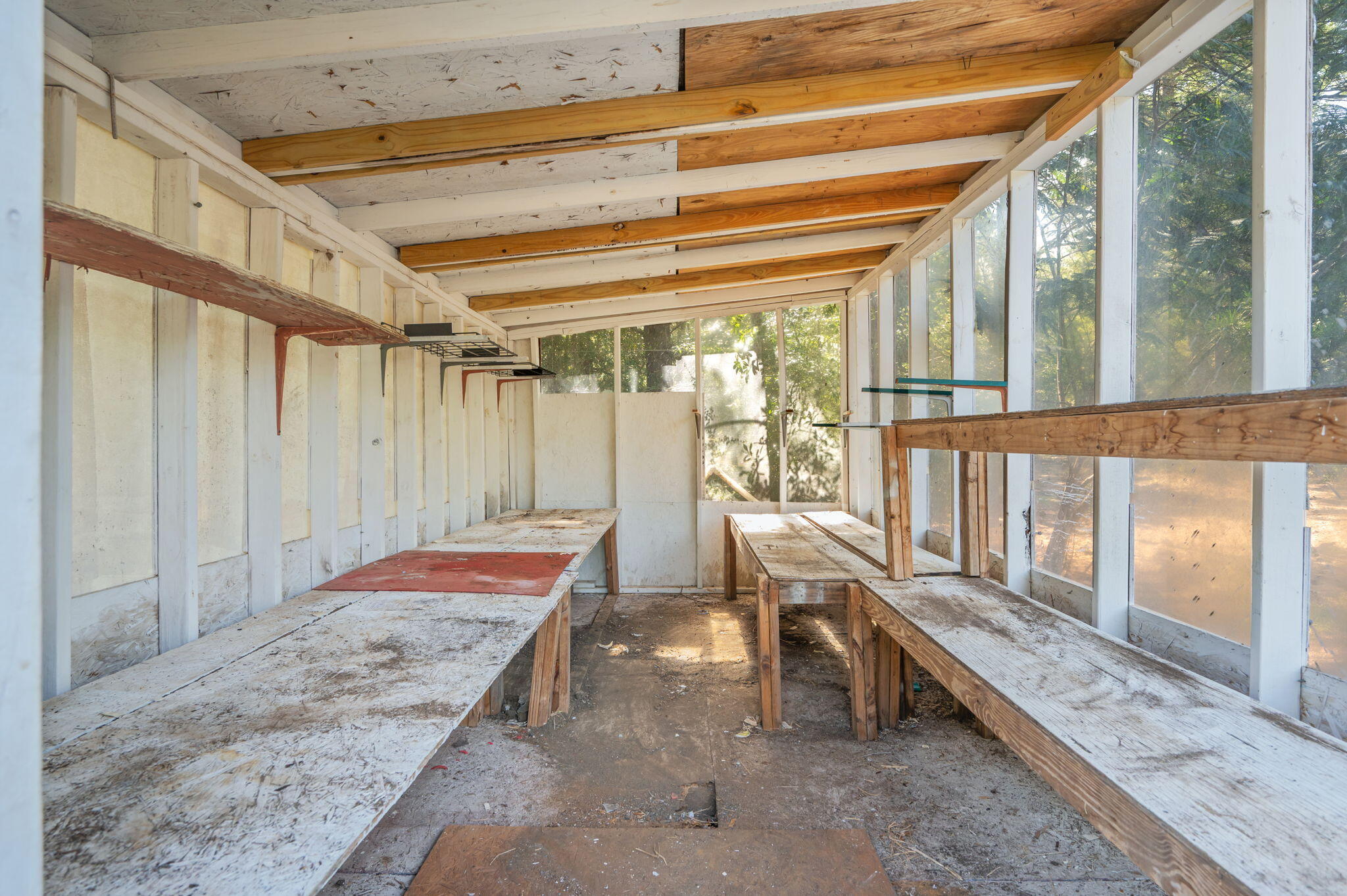 246 Rainbow Drive Crestview, FL 32539 - Photo 47 of 56 Greenhouse