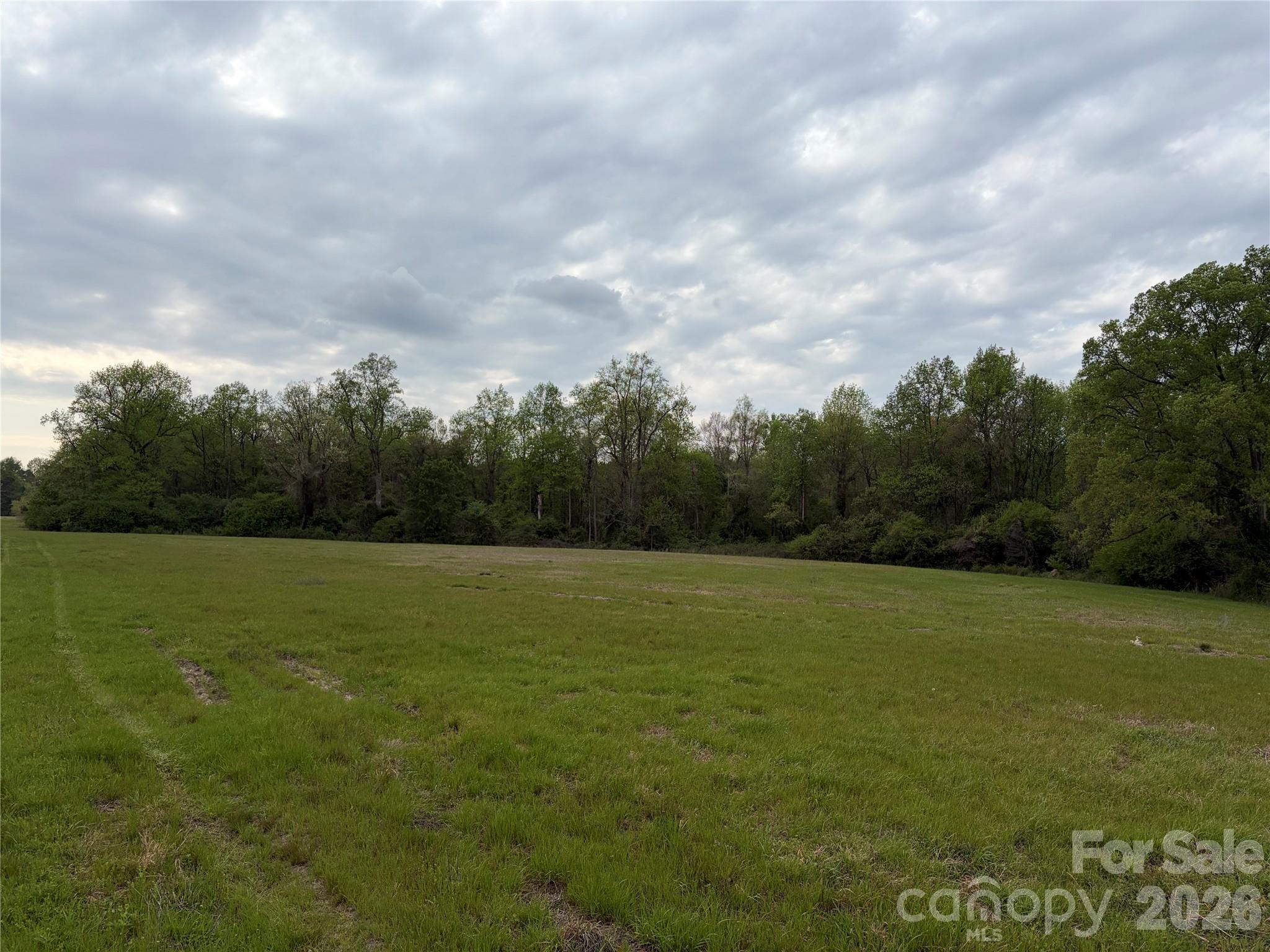 0 Robinson Bridge Road Morven, NC 28119 - Photo 3 of 10