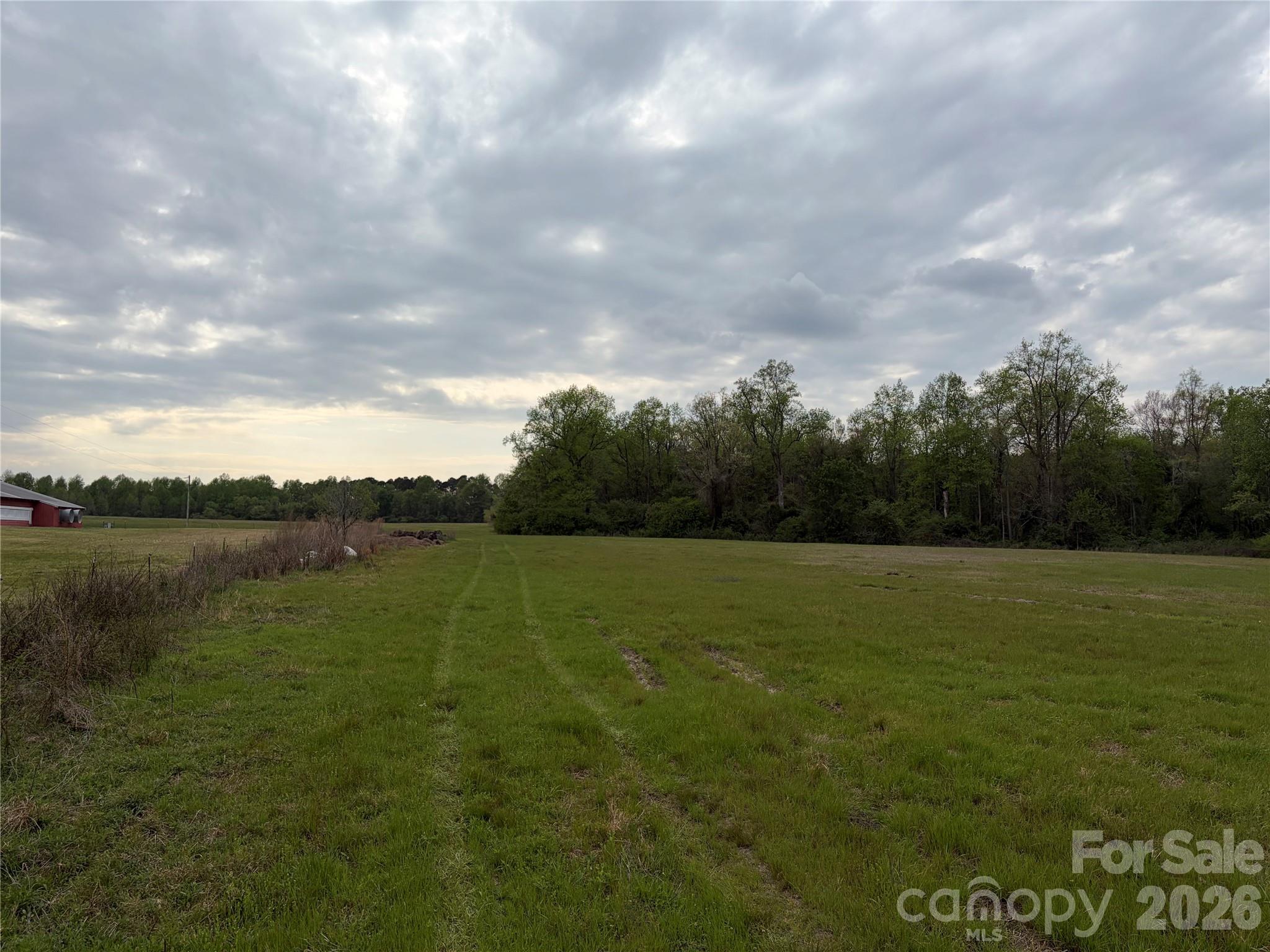 0 Robinson Bridge Road Morven, NC 28119 - Photo 4 of 10