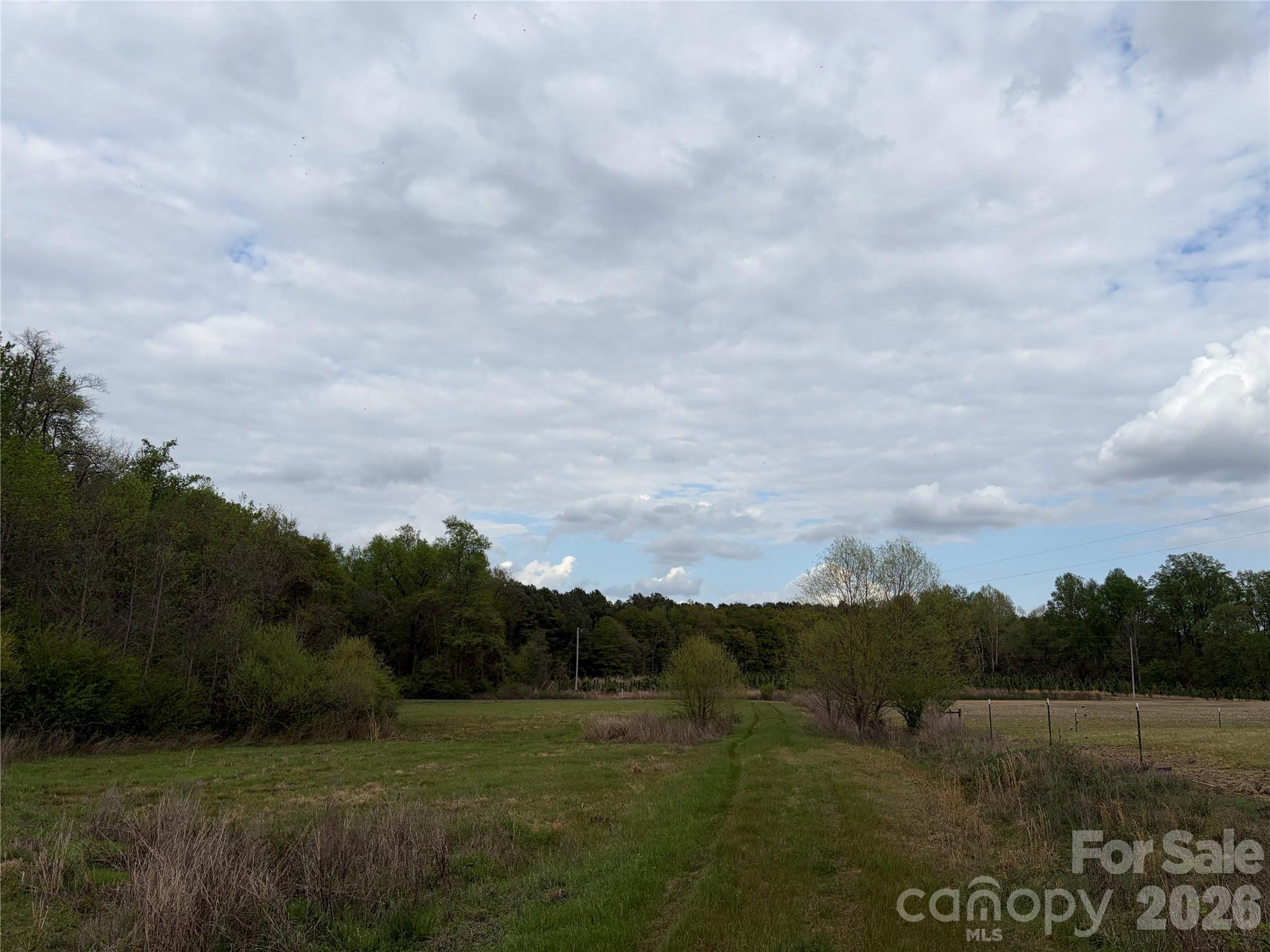 0 Robinson Bridge Road Morven, NC 28119 - Photo 5 of 10