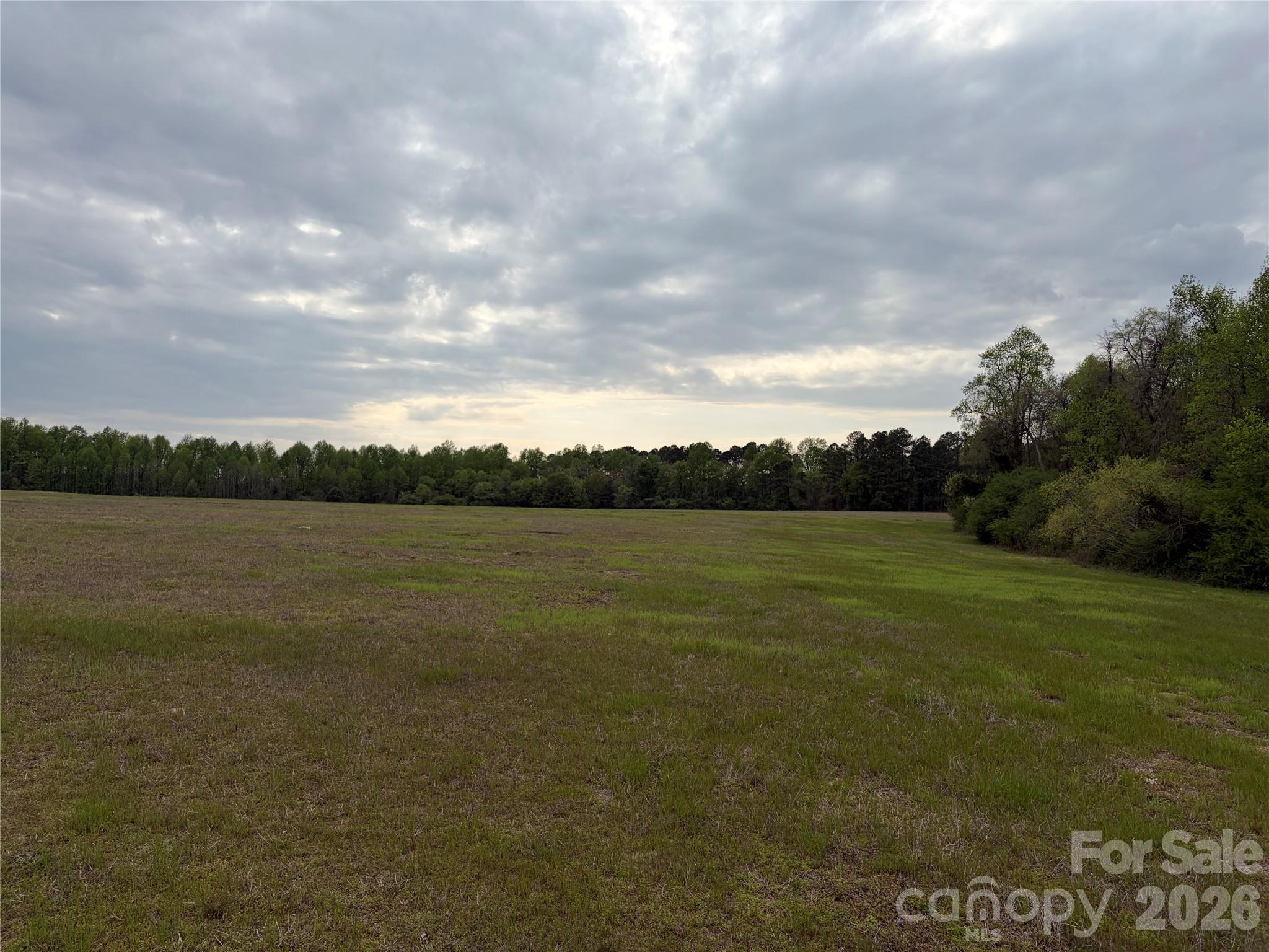 0 Robinson Bridge Road Morven, NC 28119 - Photo 7 of 10