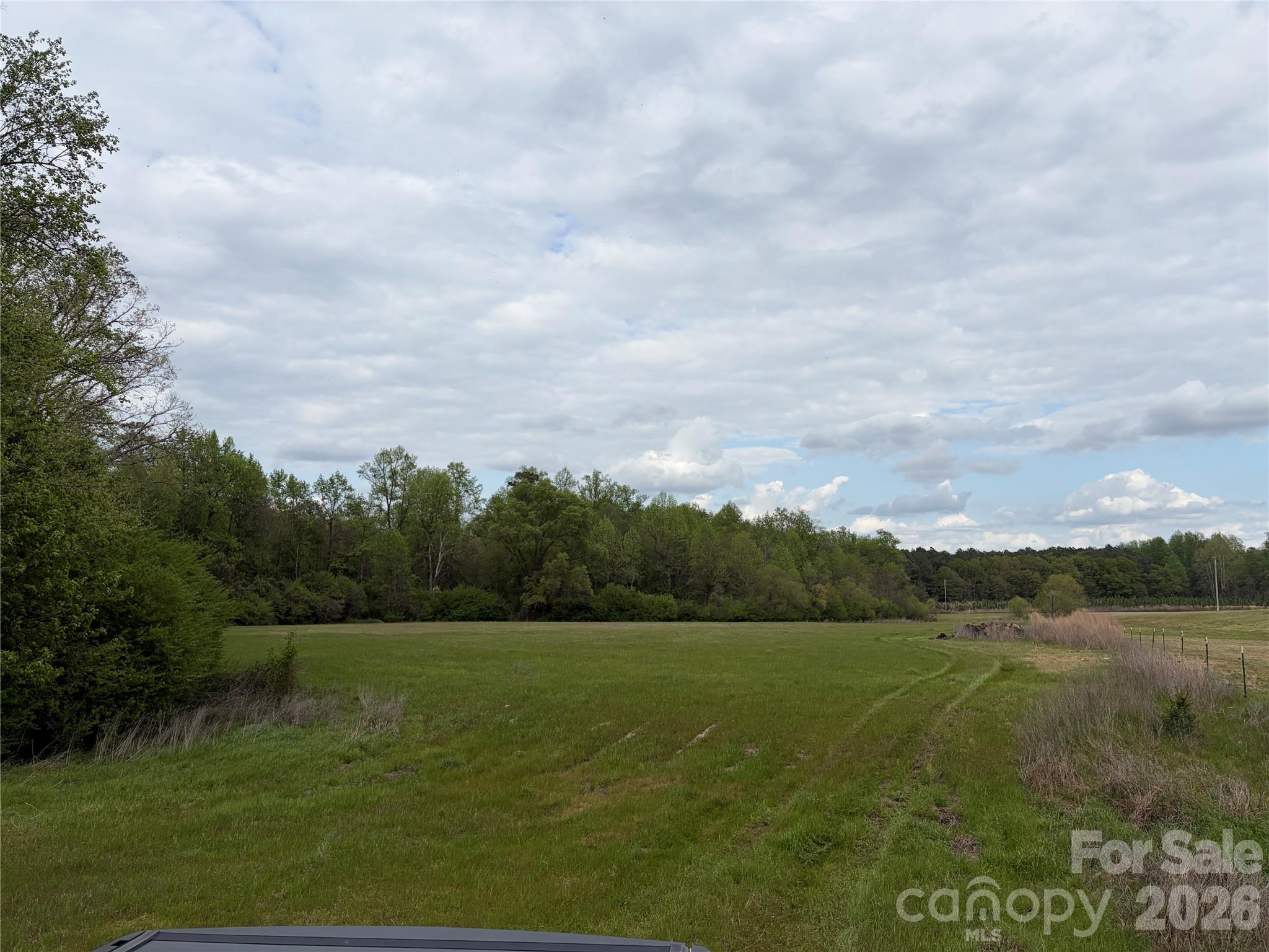 0 Robinson Bridge Road Morven, NC 28119 - Photo 8 of 10