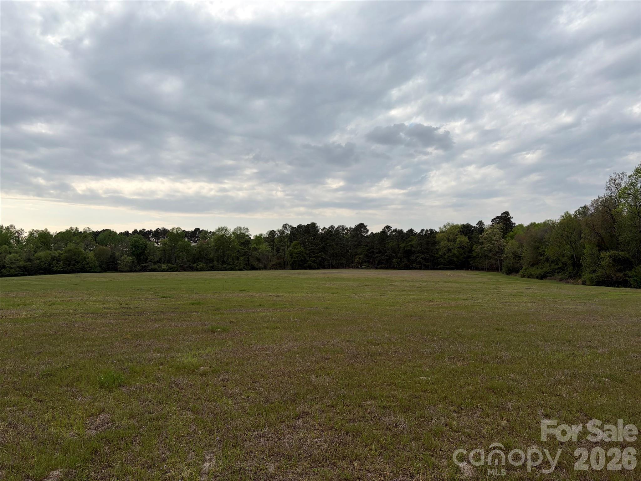 0 Robinson Bridge Road Morven, NC 28119 - Photo 9 of 10