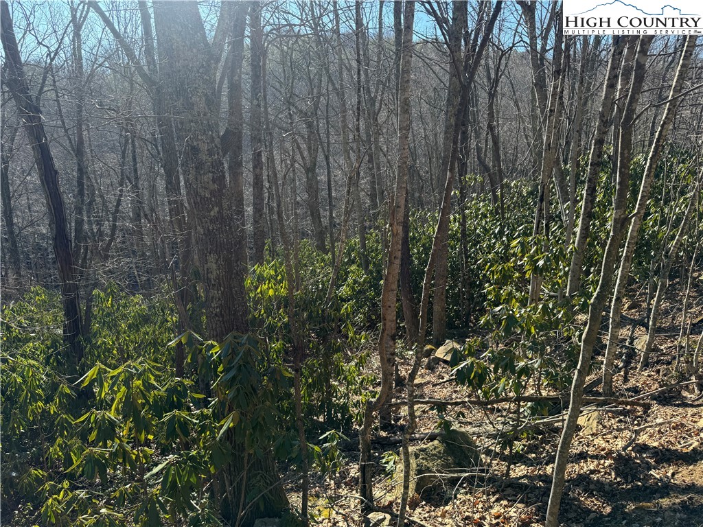 0 Gum Tree Road Elk Park, NC 28622 - Photo 3 of 6