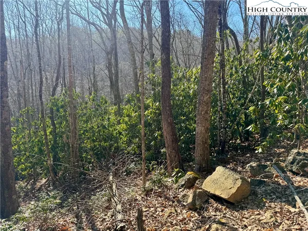 $11,500 | 0 Gum Tree Road, Elk Park, NC 28622