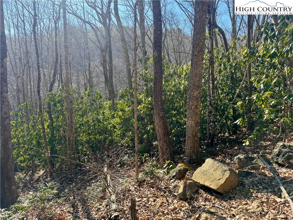 0 Gum Tree Road Elk Park, NC 28622 - Photo 4 of 6