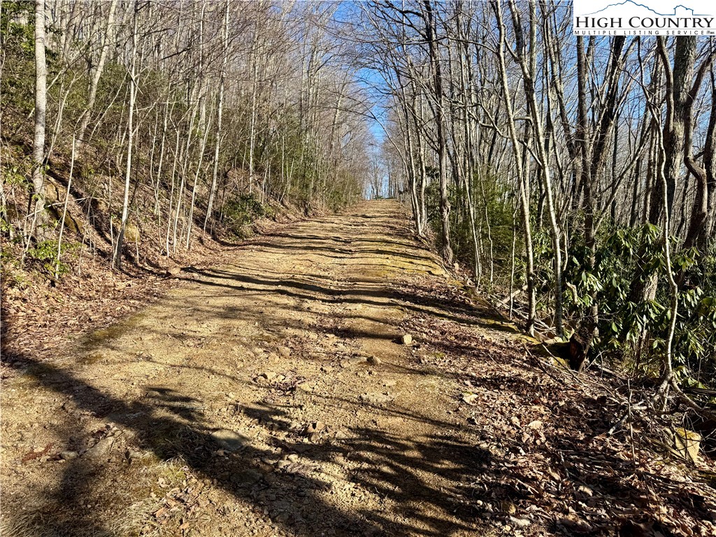 0 Gum Tree Road Elk Park, NC 28622 - Photo 5 of 6