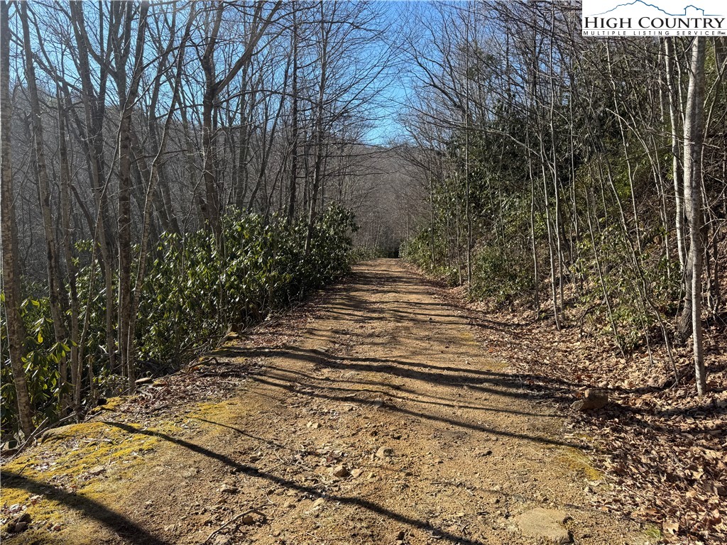 0 Gum Tree Road Elk Park, NC 28622 - Photo 6 of 6