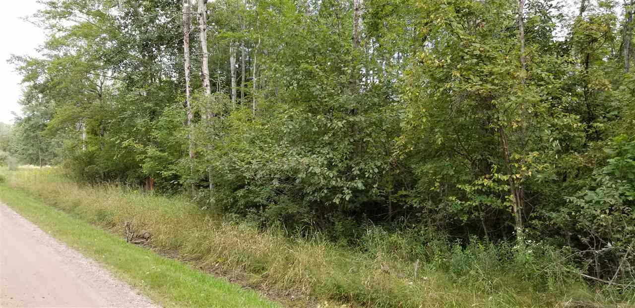 0 North Magruder Road Coleman, MI 48618 - Photo 1 of 5 1867396.JPG