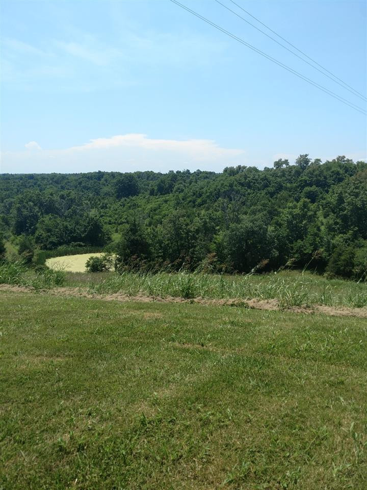 205 Lincoln Ridge Road Williamstown, KY 41097 - Photo 29 of 30 Gallery Image 29