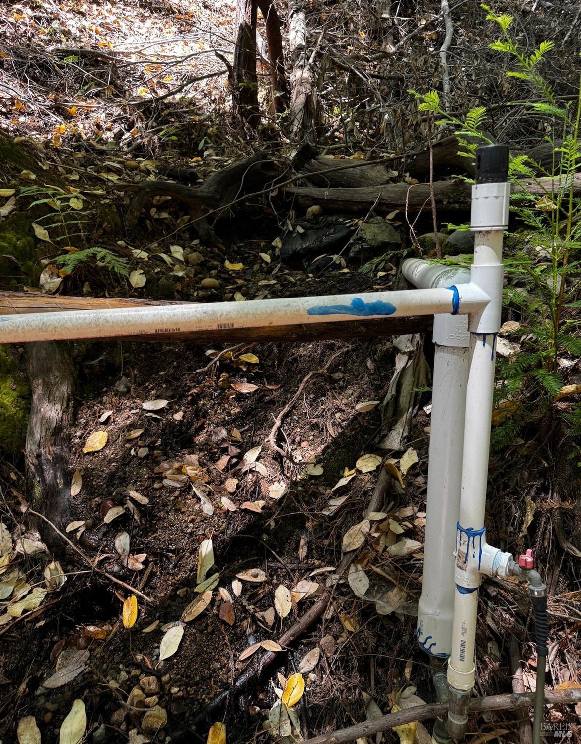 21530 Fort Ross Road Cazadero, CA 95421 - Photo 54 of 56 Spring water source.