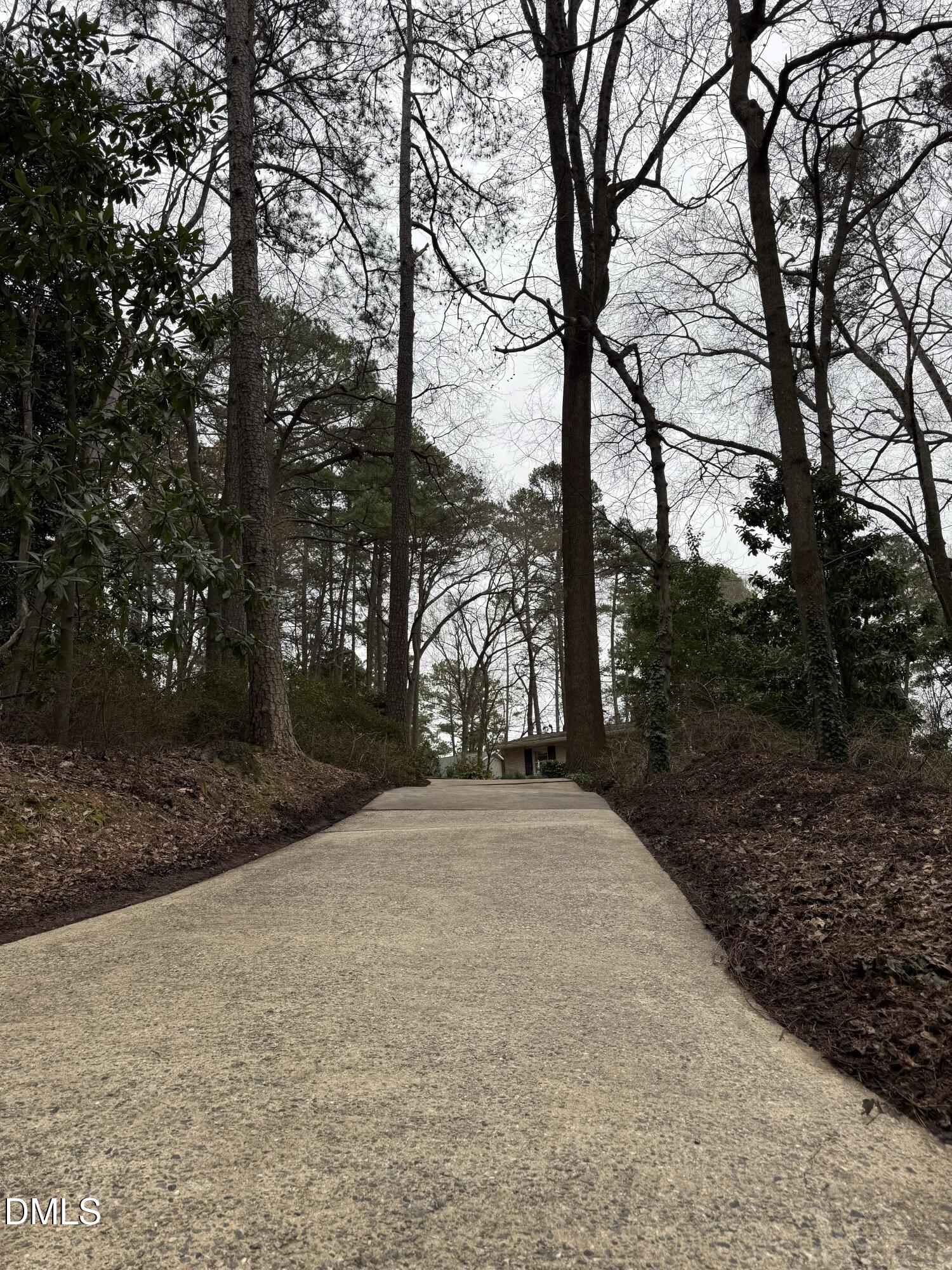 2009 Philcrest Road Raleigh, NC 27612 - Photo 29 of 29 a view of backyard with green space