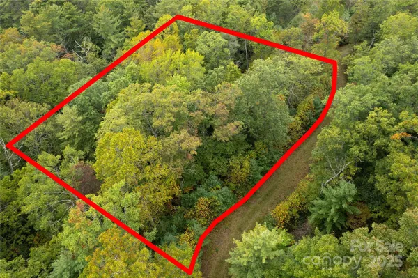 $35,000 | 0 Beaumont Drive, Cedar Mountain, NC 28718