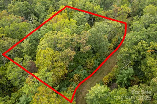 $35,000 | 0 Beaumont Drive, Cedar Mountain, NC 28718