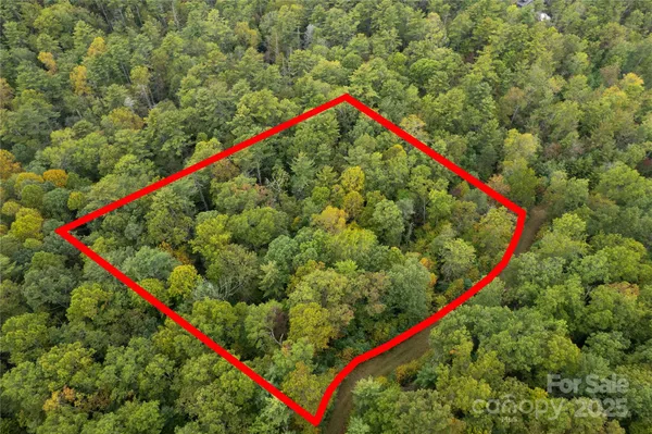 $35,000 | 0 Beaumont Drive, Cedar Mountain, NC 28718