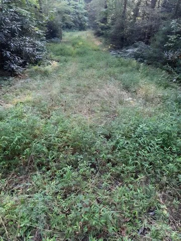 $35,000 | 0 Beaumont Drive, Cedar Mountain, NC 28718