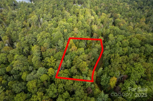 $35,000 | 0 Beaumont Drive, Cedar Mountain, NC 28718