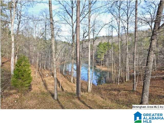 65 Hollow Road South, Unit 4 Blountsville, AL 35031 - Photo 5 of 14