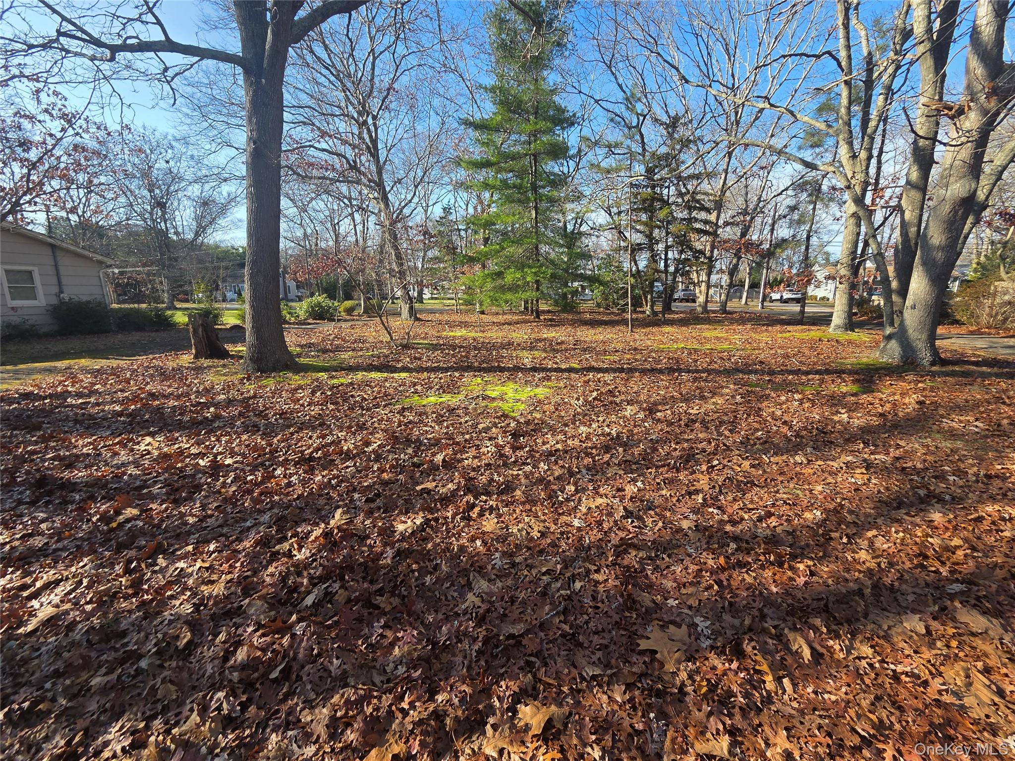 30 Matthews Drive Remsenburg, NY 11960 - Photo 11 of 11 a view of outdoor space with trees
