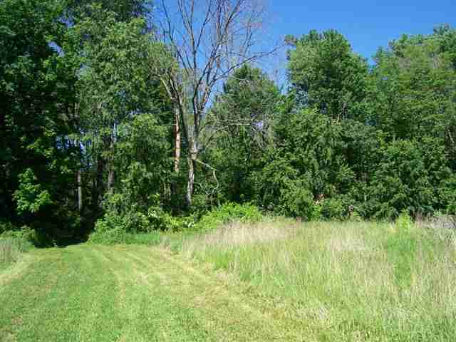 78300 Fisher Road Romeo, MI 48065 - Photo 19 of 21 31038062-19.JPG