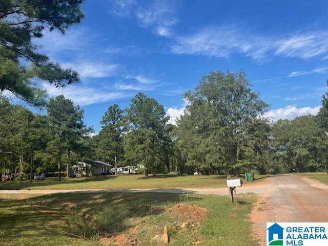 240 Blue Bird Lane, Unit 1 Alpine, AL 35014 - Photo 2 of 3