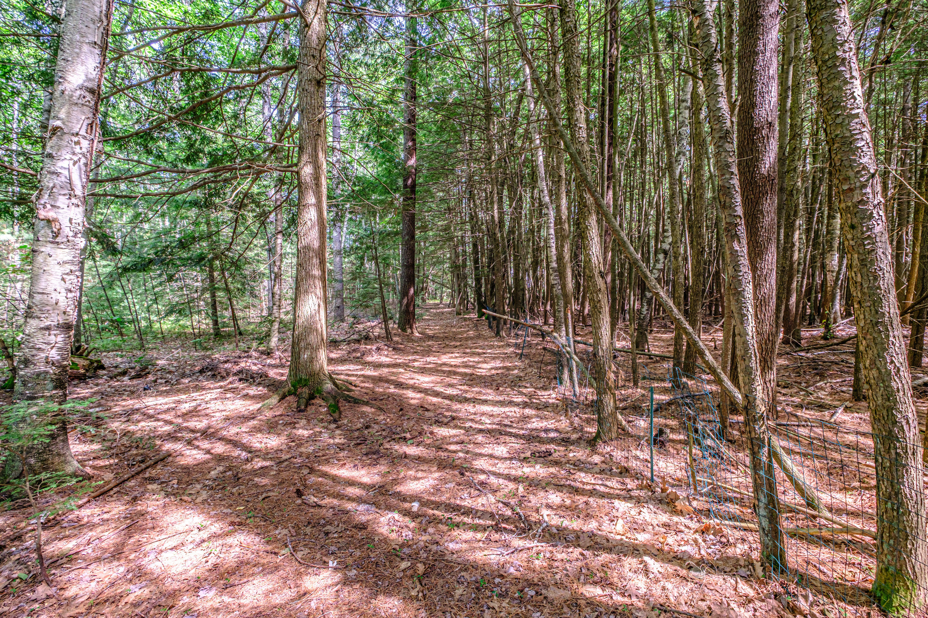 262 Holmes Road Scarborough, ME 04074 - Photo 51 of 61 20260701gp-62076