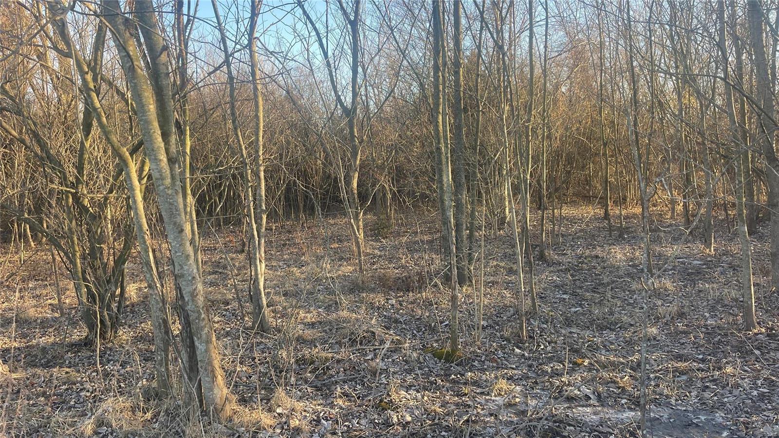 0 Schuline Road Walsh, IL 62297 - Photo 2 of 10