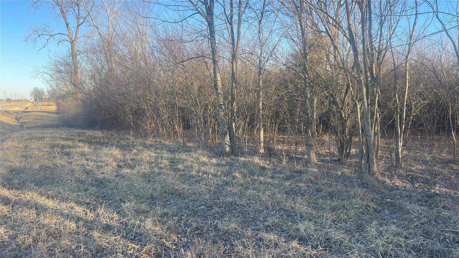 0 Schuline Road Walsh, IL 62297 - Photo 3 of 10