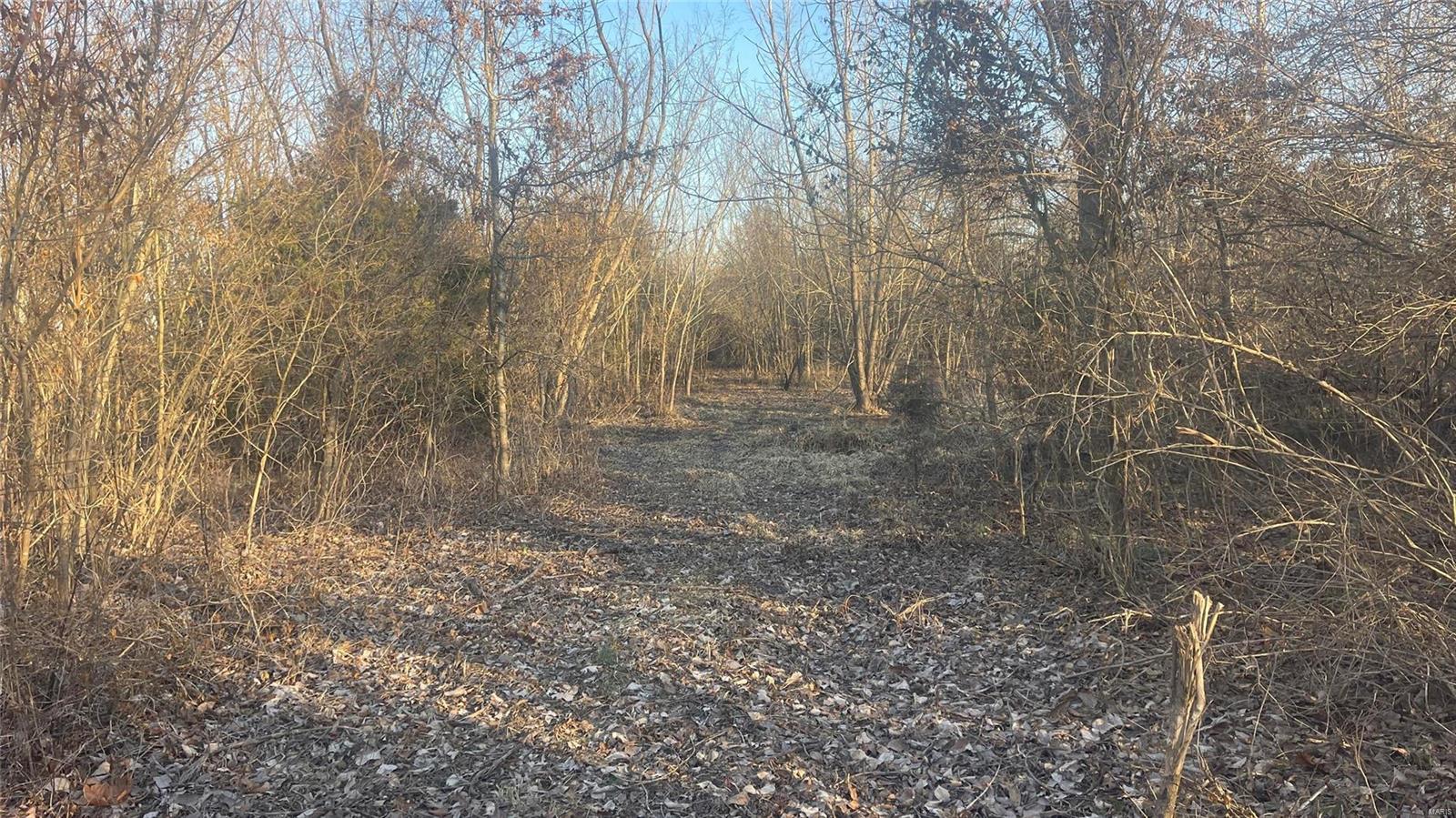 0 Schuline Road Walsh, IL 62297 - Photo 4 of 10