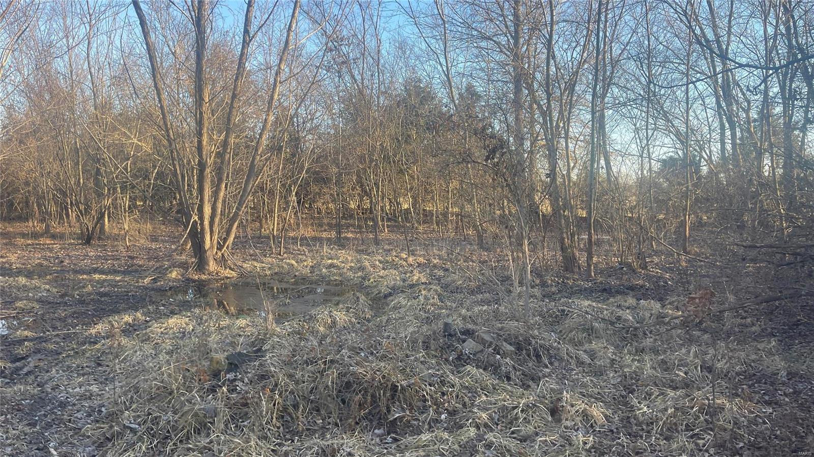 0 Schuline Road Walsh, IL 62297 - Photo 5 of 10