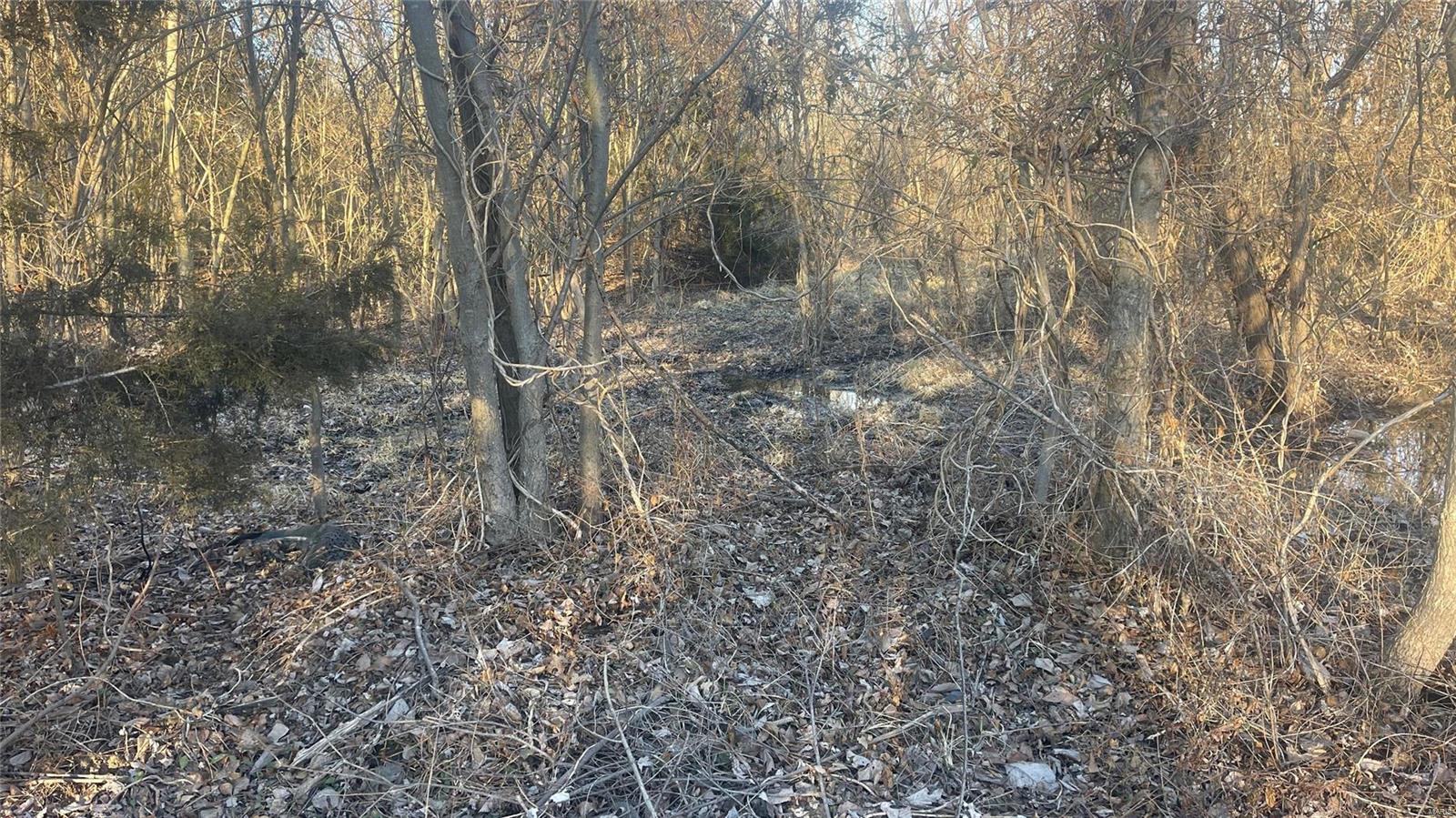 0 Schuline Road Walsh, IL 62297 - Photo 6 of 10