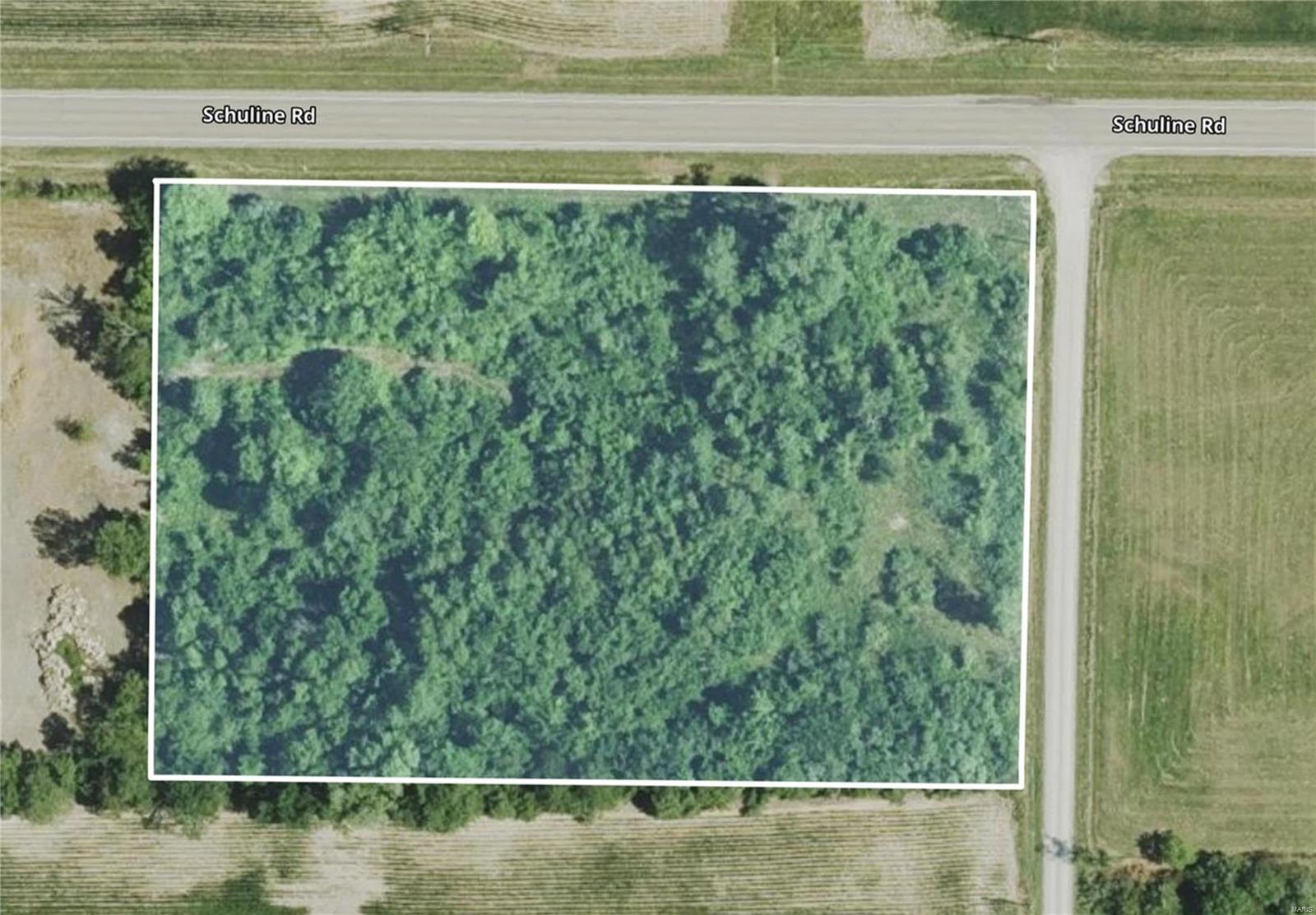 0 Schuline Road Walsh, IL 62297 - Photo 7 of 10