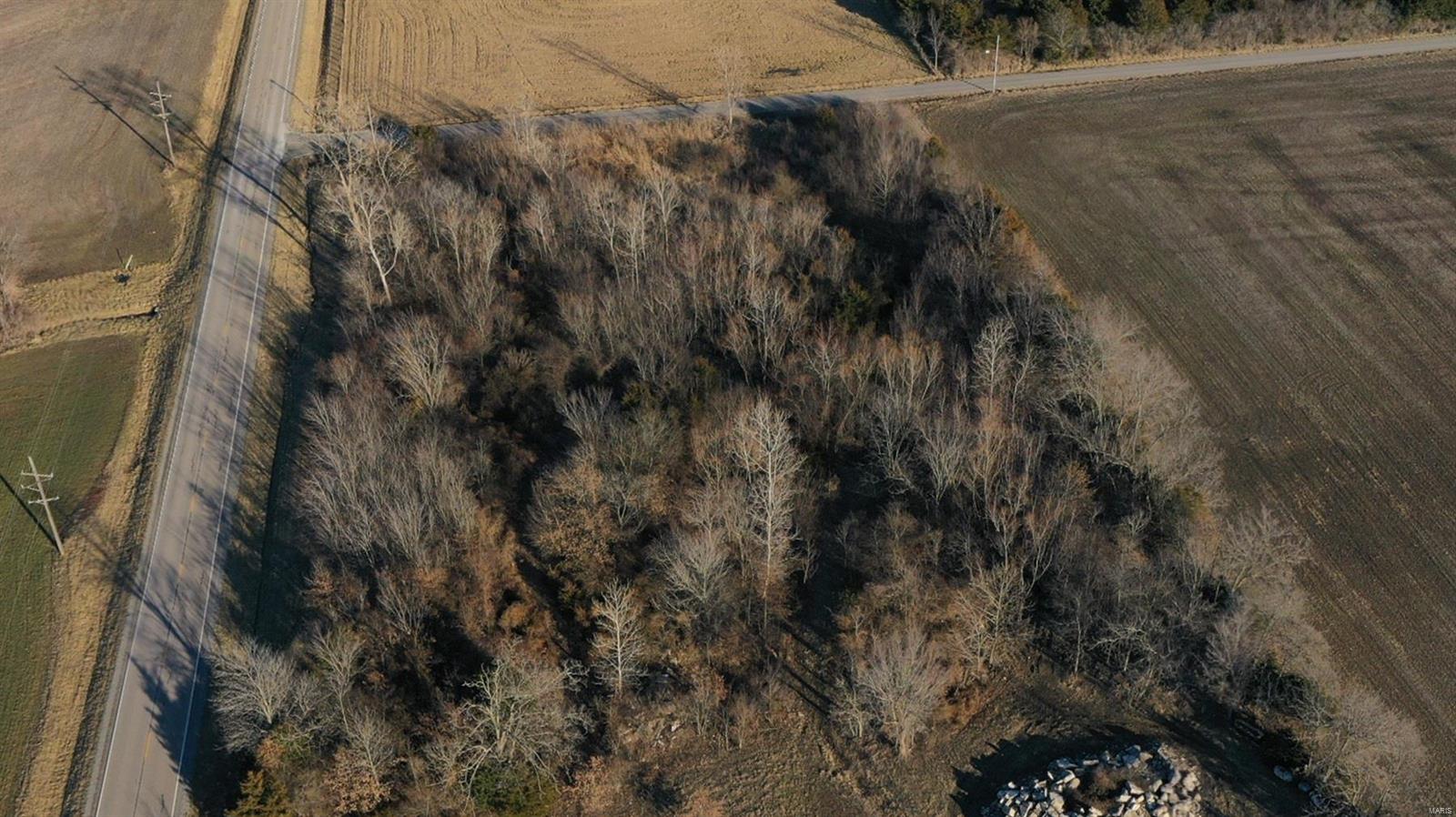 0 Schuline Road Walsh, IL 62297 - Photo 8 of 10