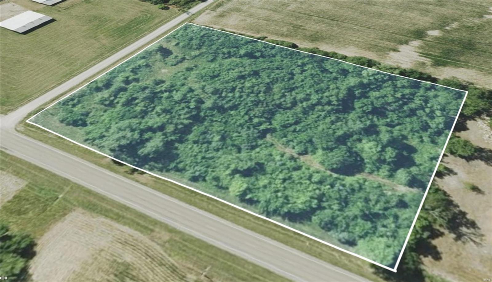 0 Schuline Road Walsh, IL 62297 - Photo 10 of 10