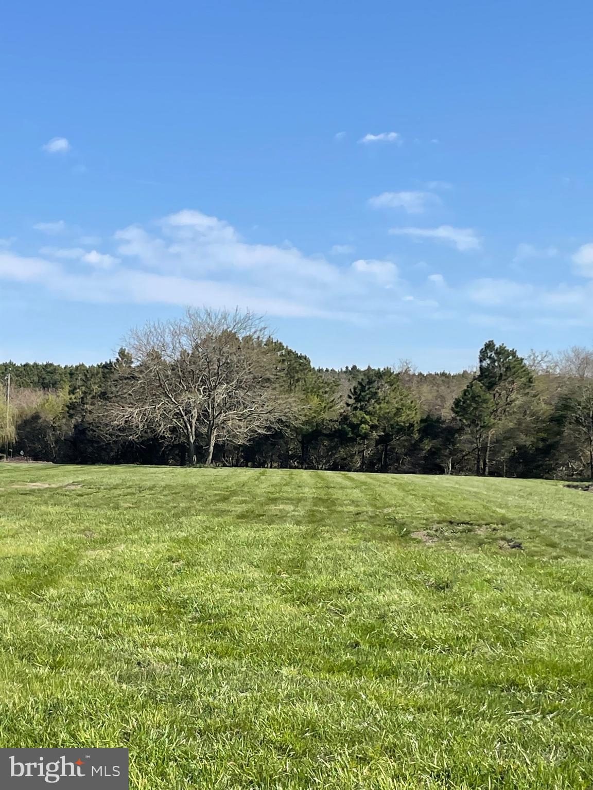 Ferry Landing Road Tilghman, MD 21671 - Photo 3 of 8 Lot