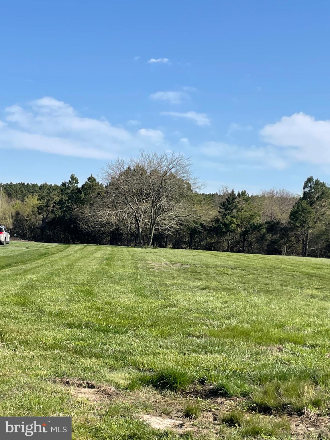 Ferry Landing Road Tilghman, MD 21671 - Photo 4 of 8 Lot
