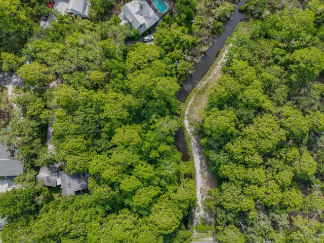 a view of a garden with a plants