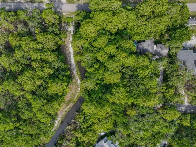 a view of a tree in the middle of a yard