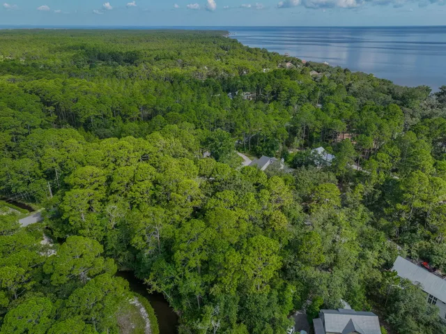 a view of a lush green space