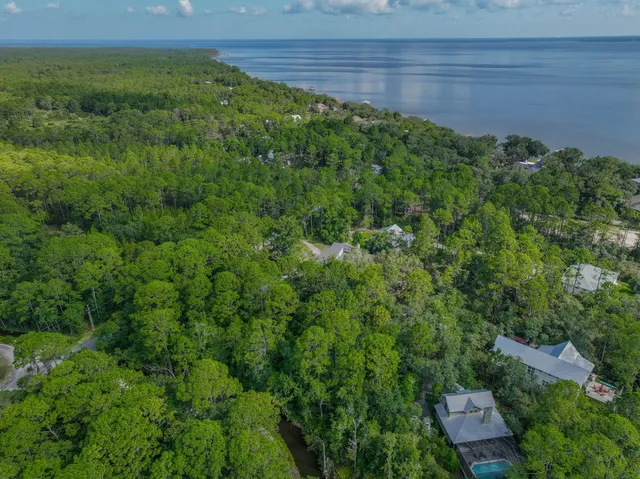 a view of a garden with an outdoor space